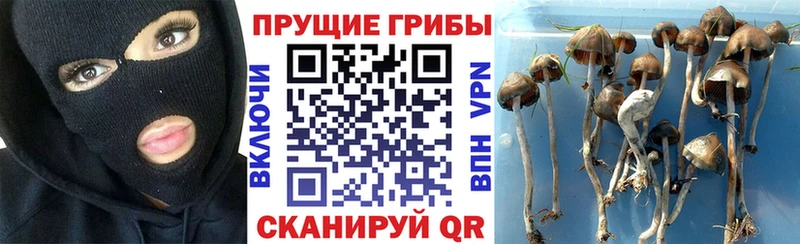 Псилоцибиновые грибы мухоморы  Новоузенск 